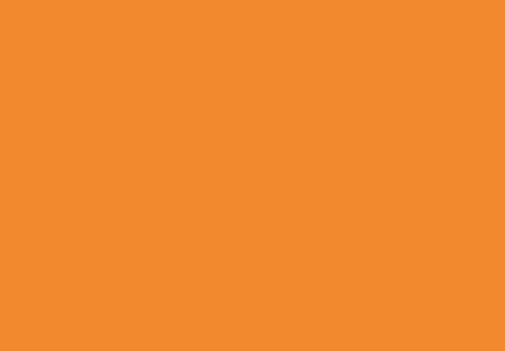 1036-6 Orange